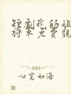 短剧我的姐姐是将军免费观看