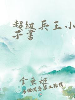 超级兵王小说电子书