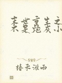 末世重生之我可不是炮灰小说