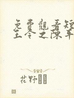 免费观看短剧龙王令之陈平殿主