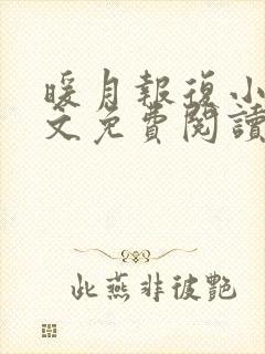 暖月报复小说全文免费阅读