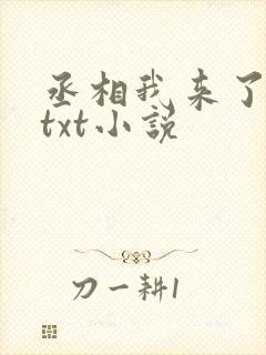 丞相我来了全本txt小说