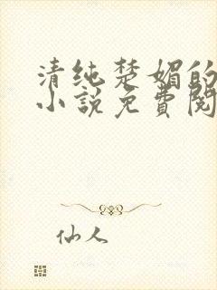 清纯楚媚的快穿小说免费阅读