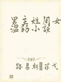 男主姓周女主姓温的小说