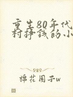 重生80年代农村挣钱的小说