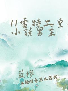 11处特工皇妃小说男主