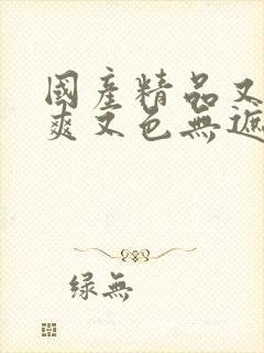 国产精品又黄又爽又色无遮挡的视频