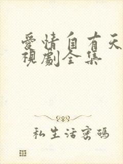 爱情自有天意电视剧全集