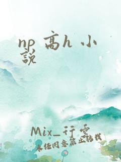 np 高h 小说