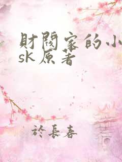 财阀家的小儿子sk原著