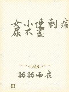 女小便刺痛感觉尿不尽