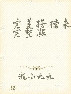 完美搭档未删减完整版