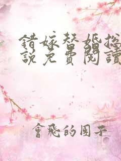 错嫁替婚总裁小说免费阅读