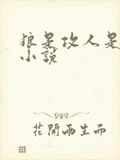 狼是攻人是受的小说