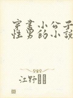 穿书小公子是双性男的小说