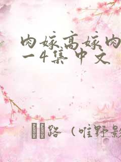 肉嫁高嫁肉柳1一4集中文