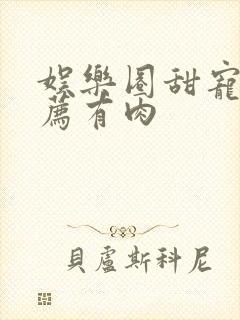 娱乐圈甜宠文推荐有肉