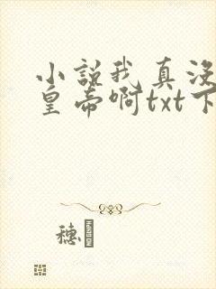 小说我真没想当皇帝啊txt下载