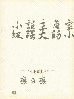 小说主角家族超级强大的小说