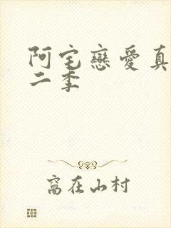 阿宅恋爱真难第二季