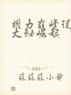 权力巅峰从领导大秘崛起