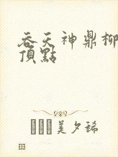 吞天神鼎柳无邪顶点