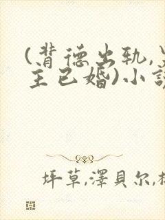 (背德出轨,男主已婚)小说