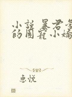 小说 暴君爹爹的团宠小娇包