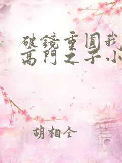 破镜重圆我爱上高门之子小说结局