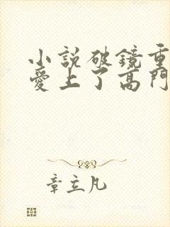 小说破镜重圆我爱上了高门之子