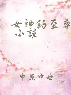 女神的至尊兵王 小说