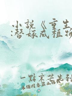 小说《重生七零:替嫁成植物人军嫂》