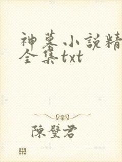 神墓小说精校版全集txt