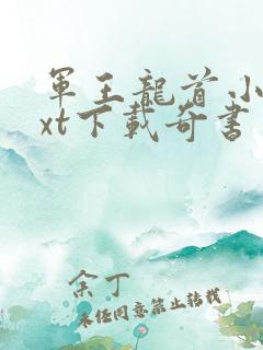 军王龙首小说txt下载奇书网