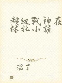 超级战神在都市林北小说