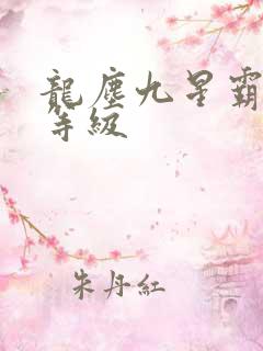 龙尘九星霸体诀等级