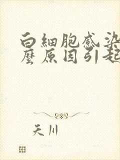 白细胞感染是什么原因引起的