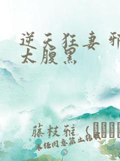 逆天狂妻 邪帝太腹黑