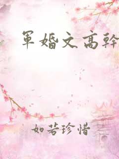 军婚文高干文