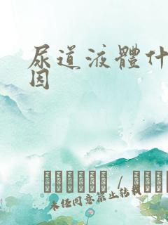 尿道液体什么原因