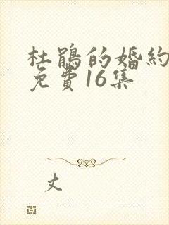 杜鹃的婚约漫画免费16集