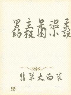 男主是温柔学长的校园小说