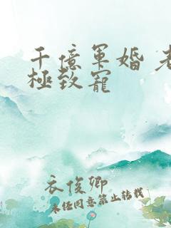 千亿军婚 老公极致宠