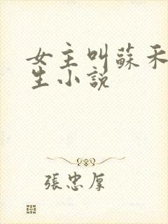 女主叫苏禾的重生小说