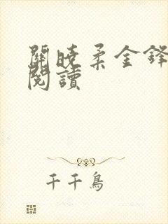 关晓柔金锋小说阅读