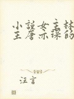 小说女主林舒男主唐亦琛的书名