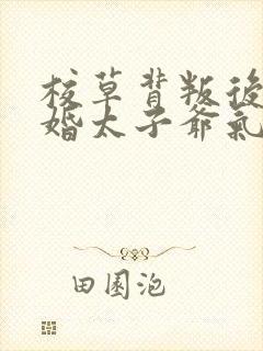 校草背叛后我闪婚太子爷气疯他苏念笙全文