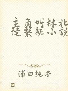 主角叫林北的收徒系统小说