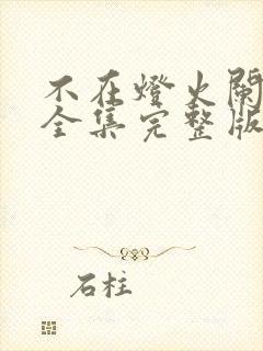 不在灯火阑珊处全集完整版