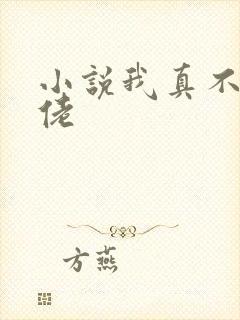 小说我真不是大佬